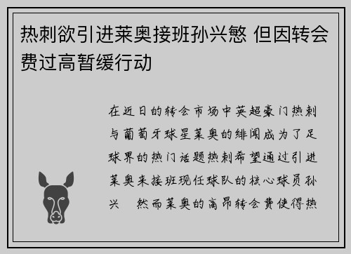 热刺欲引进莱奥接班孙兴慜 但因转会费过高暂缓行动
